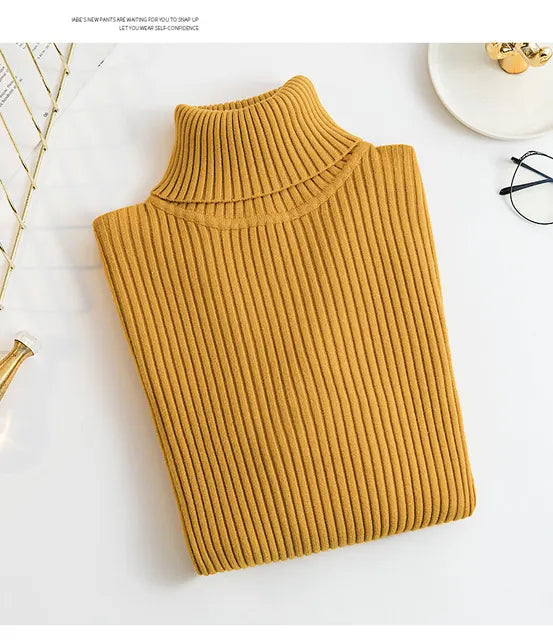 Solid Color Women Turtleneck Sweater