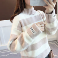 Turtleneck Stripe Thick Sweater