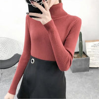 Elegant Turtleneck Women's Sweater