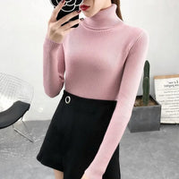 Elegant Turtleneck Women's Sweater