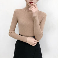 Elegant Turtleneck Women's Sweater