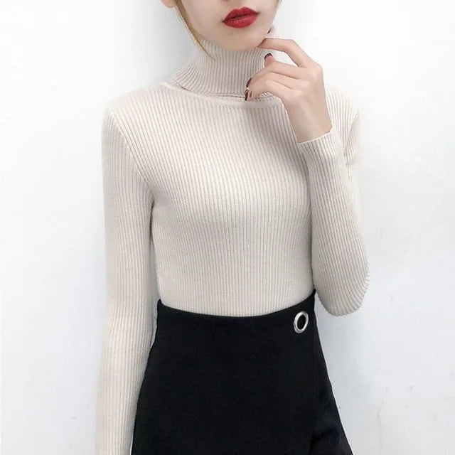 Elegant Turtleneck Women's Sweater