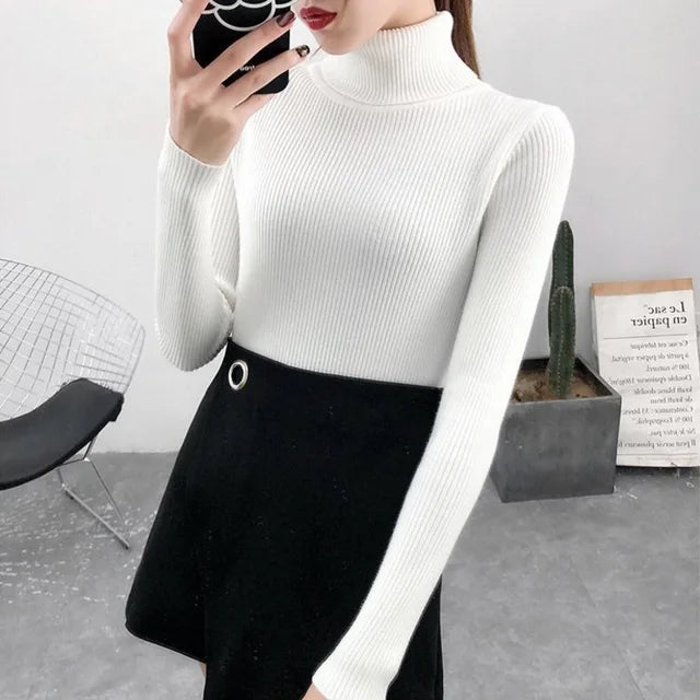 Elegant Turtleneck Women's Sweater