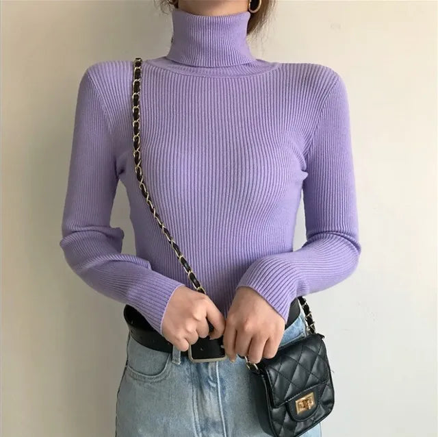 Elegant Turtleneck Women's Sweater