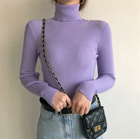 Elegant Turtleneck Women's Sweater