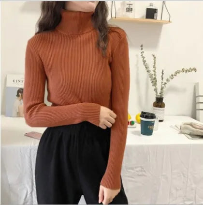 Elegant Turtleneck Women's Sweater