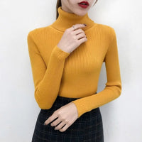 Elegant Turtleneck Women's Sweater