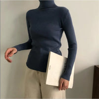 Elegant Turtleneck Women's Sweater