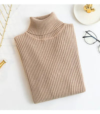 Solid Color Women Turtleneck Sweater