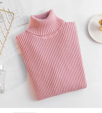 Solid Color Women Turtleneck Sweater